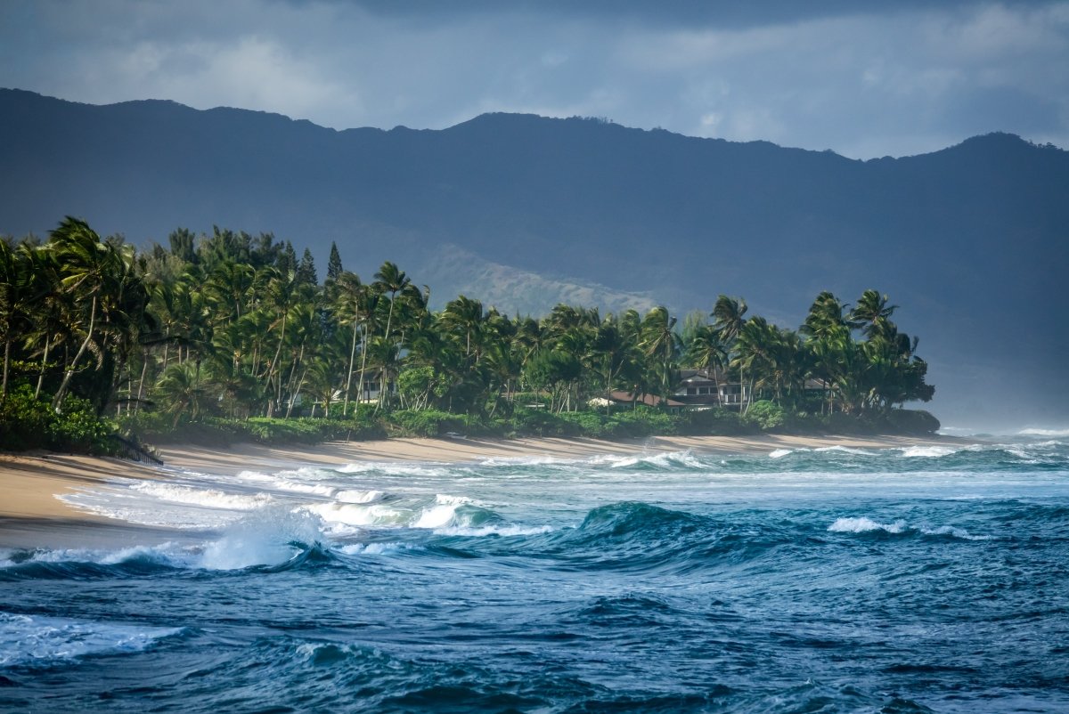 Les meilleurs spots de surf à Hawaii : Un paradis pour les surfeurs de tous niveaux - HawaiiSurf