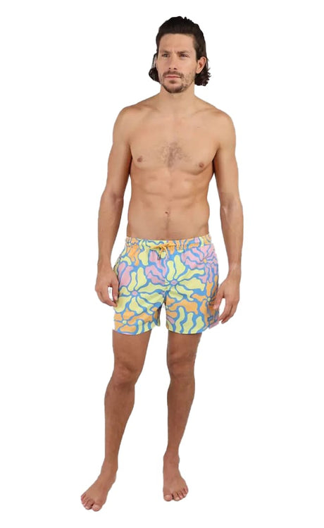 VAIPAHI VOLLEY Boardshort#BoardshortsOxbow