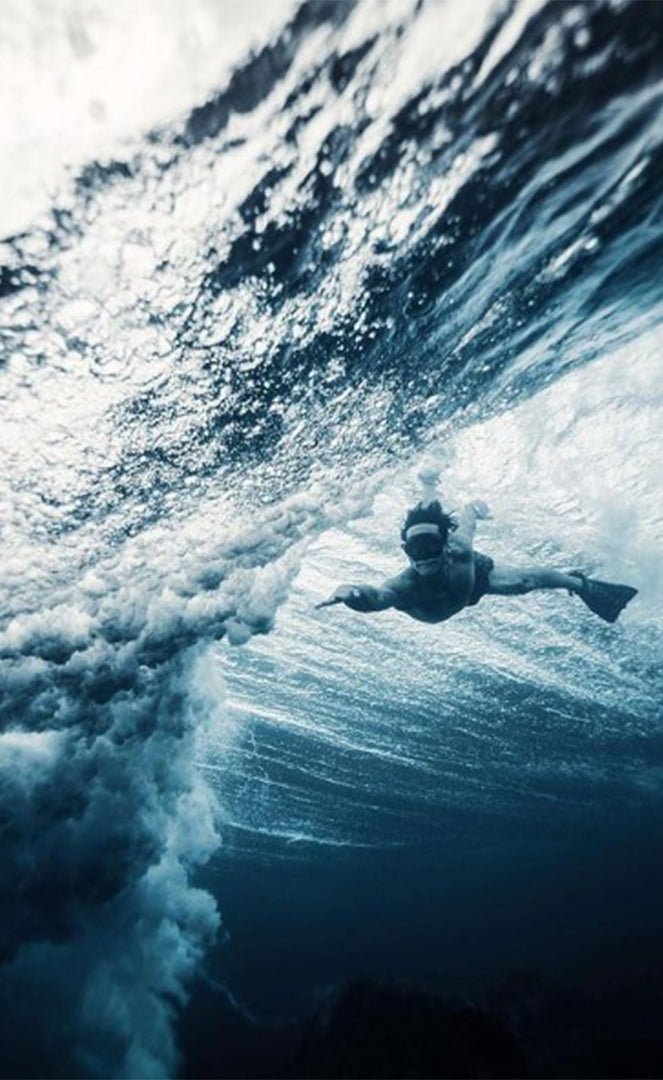 Zak Noyle Palmes Bodyboard#Swim FinsDafin