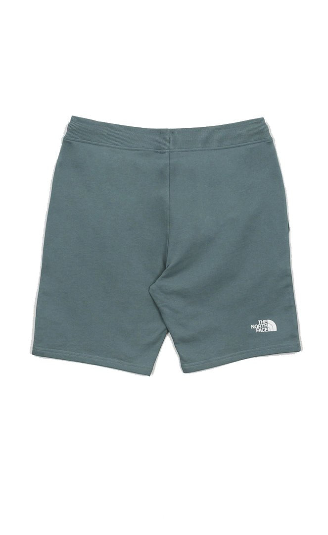 The north face on sale graphic light shorts