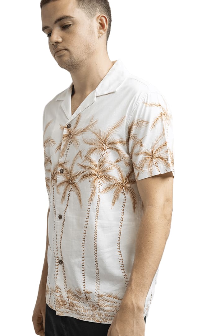 Palm Bay Chemise Homme#ChemisesRhythm