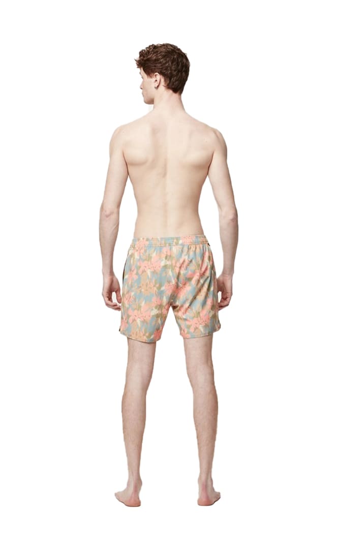 PIAU 15 BRDS Boardshort Homme#BoardshortsPicture