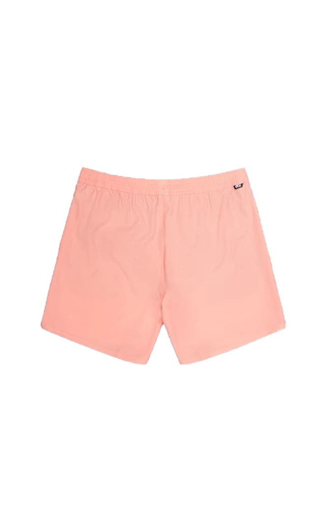 PIAU SOLID 15 BRDS Boardshort Homme#BoardshortsPicture