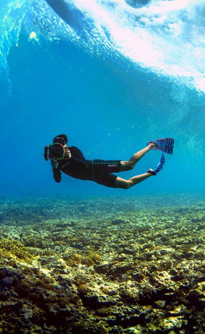 Zak Noyle Palmes Bodyboard#Swim FinsDafin